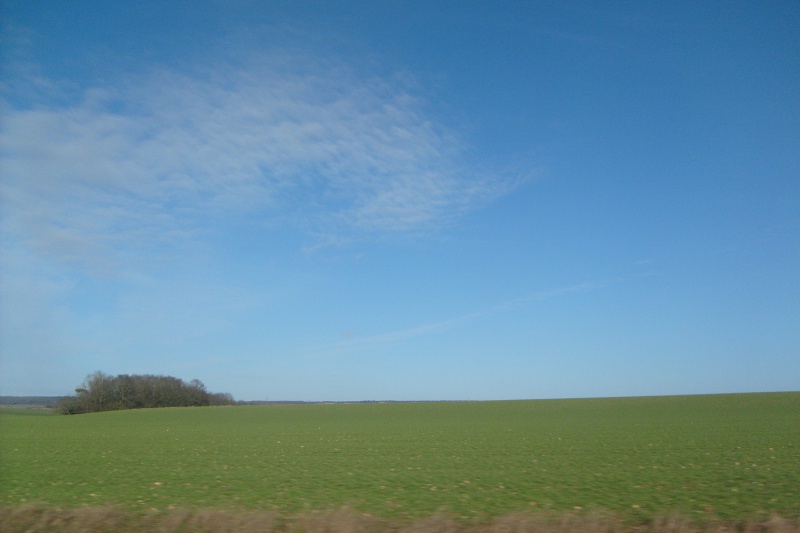 s6300211.jpg