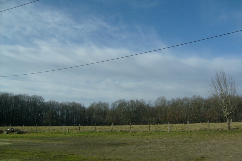 s6300216.jpg