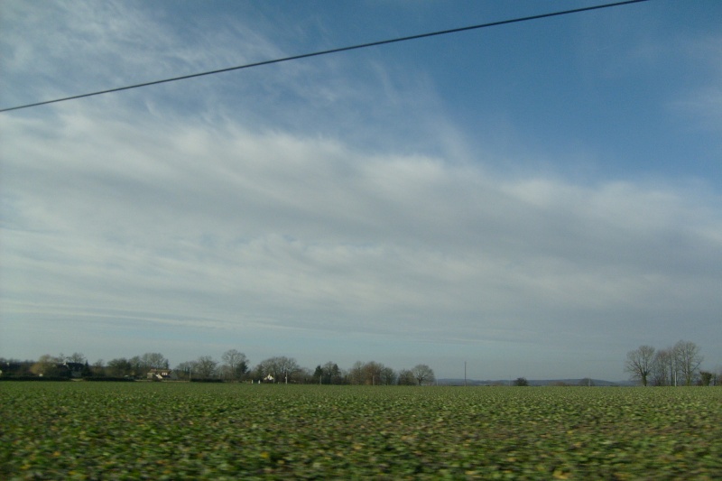 s6300217.jpg