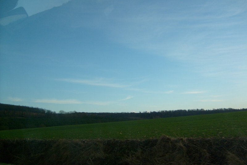 s6300218.jpg