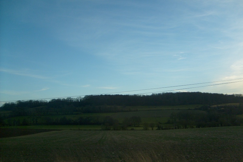 s6300221.jpg