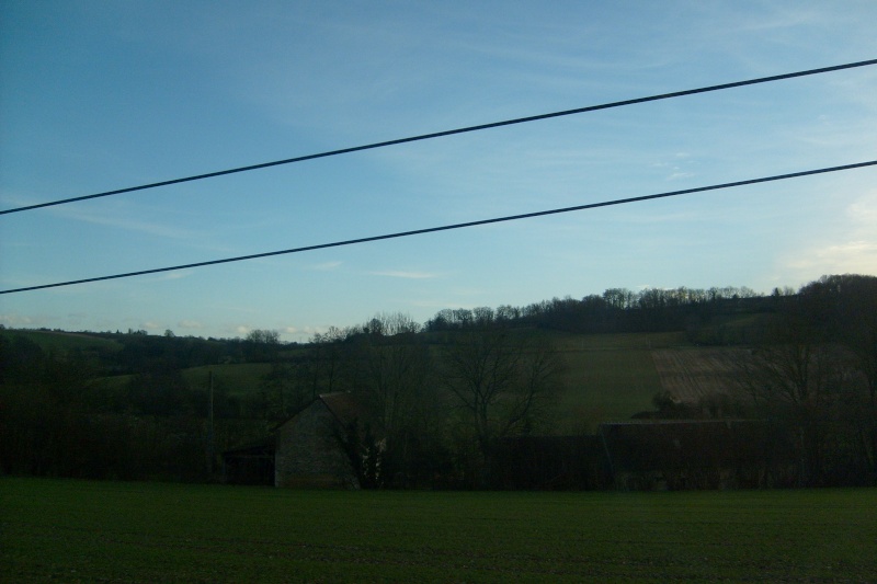 s6300222.jpg