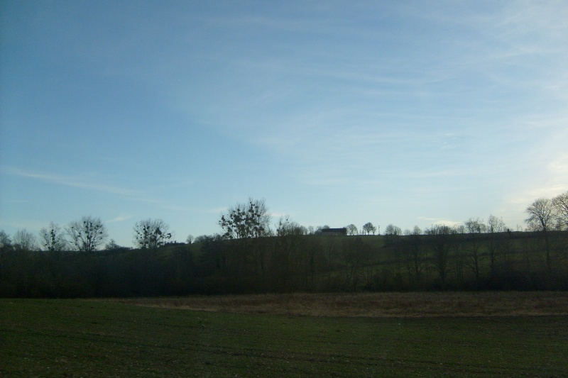 s6300223.jpg