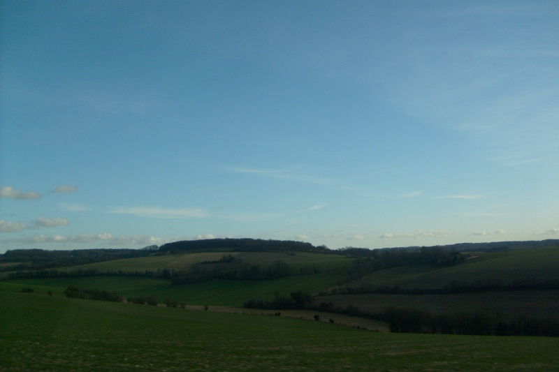 s6300225.jpg