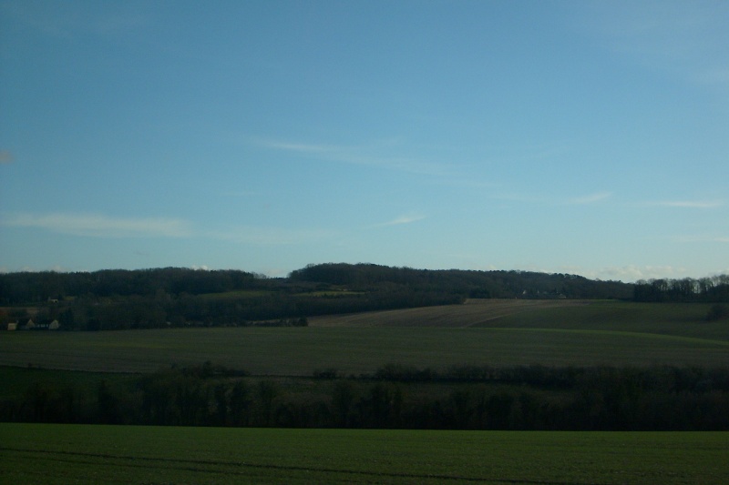 s6300227.jpg