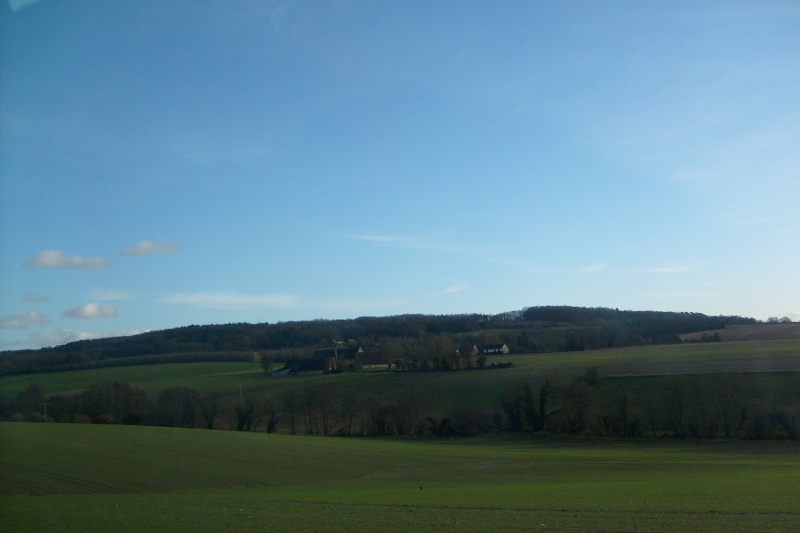 s6300229.jpg