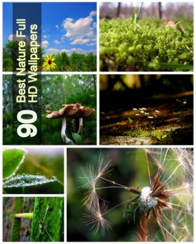 wallpapers nature scenes. 30 Best Nature Scenes Full HDR