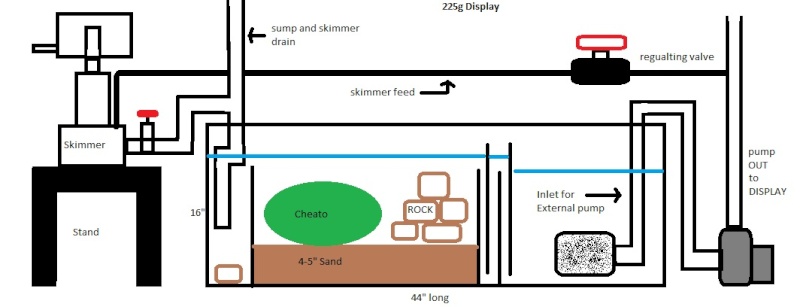 Sump\Refugium plans\pics; will it work? | MonsterFishKeepers.com