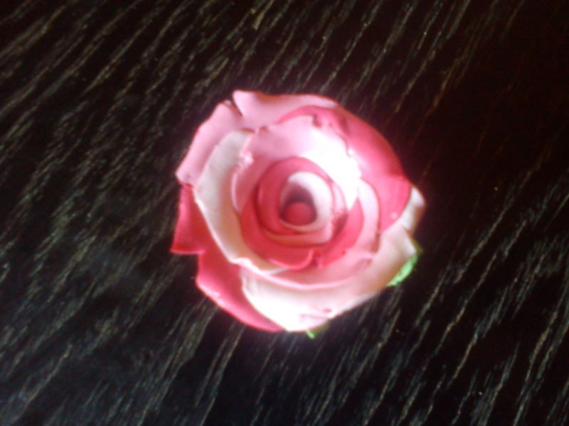 rose0110.jpg