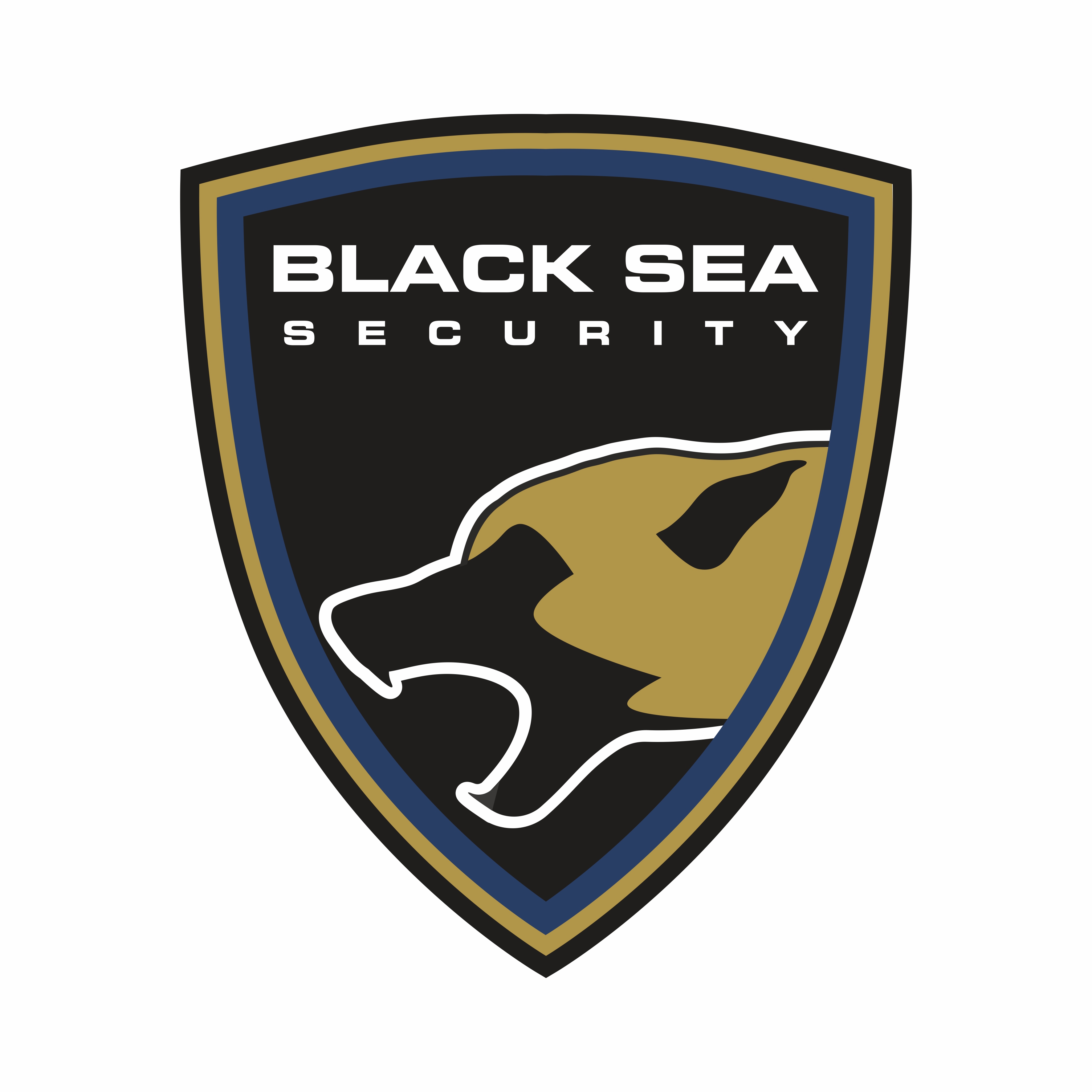 Охранителна фирма Black Sea Security