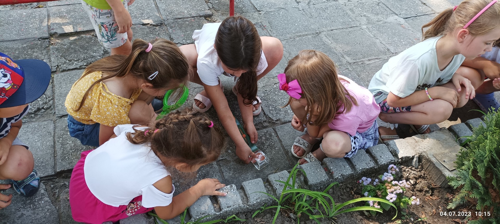 Децата на  ДГ Палечко наблюдаваха насекомите обитаващи пъстрите цветни градинки
