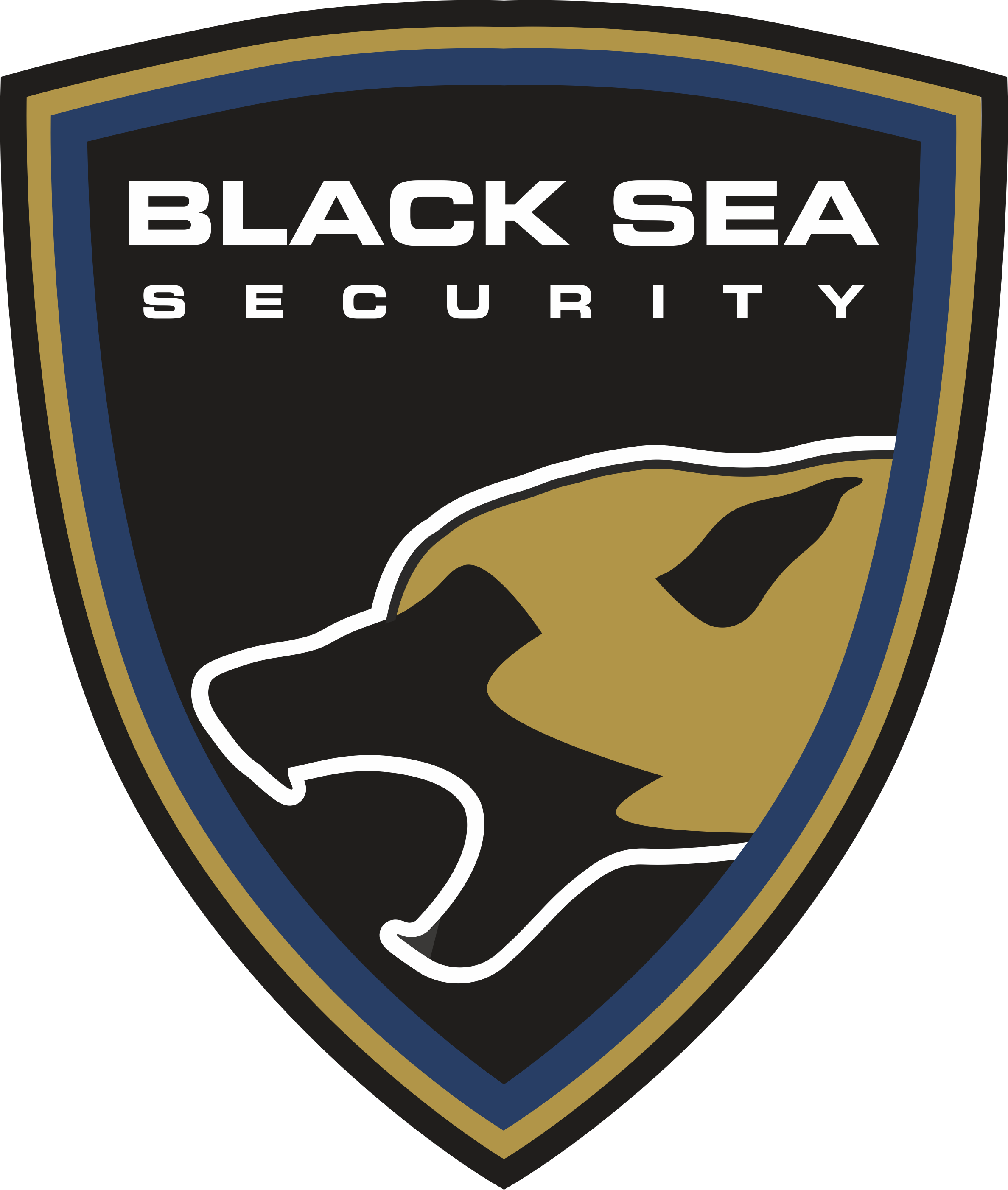 SOT Black Sea Security