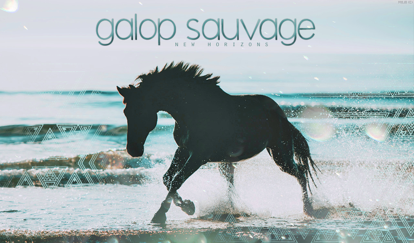 Galop Sauvage